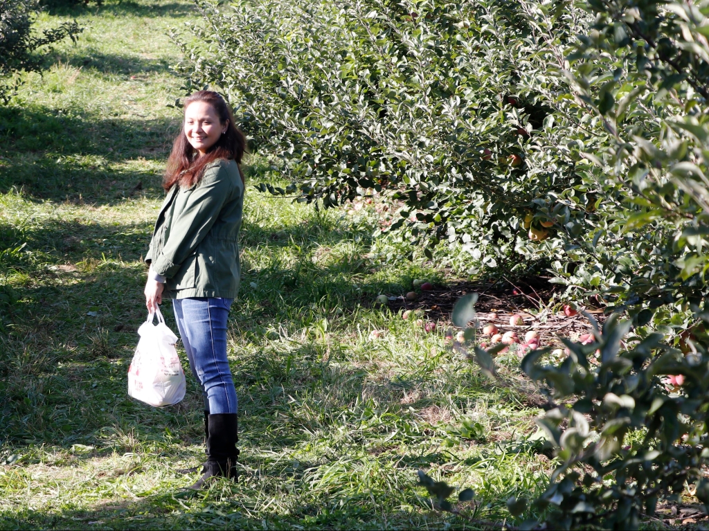 I ❤️ NY: Indian Ladder Farms Apple Picking